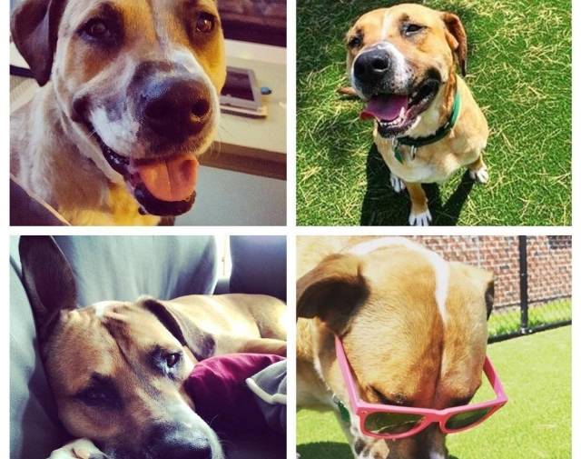 Rags Gallery Image 7