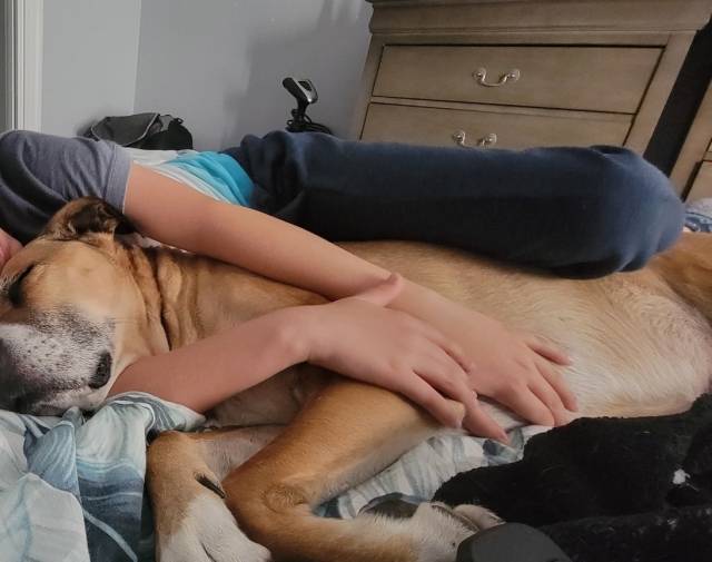 Rags Gallery Image 3