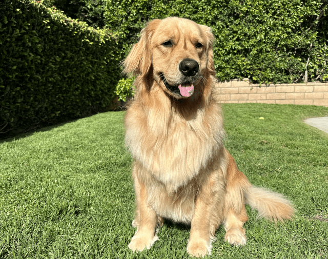 Kona Austin Profile Image
