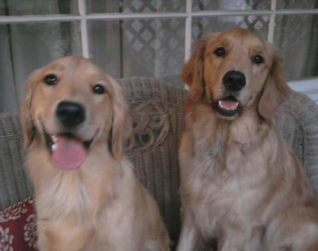 Sydney and Harlie Profile Image