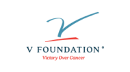 vfoundation
