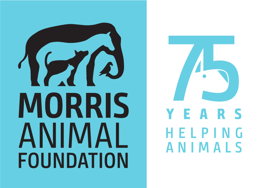 Home Morris Animal Foundation logo light blue